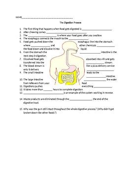 magic school bus digestive system worksheet answer key
